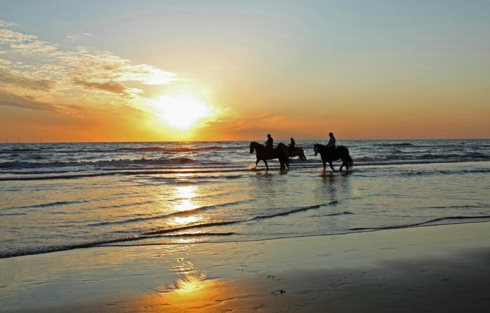 Mer Et Soleil A Blonville Sur Mer/ Deauville Exteriör bild